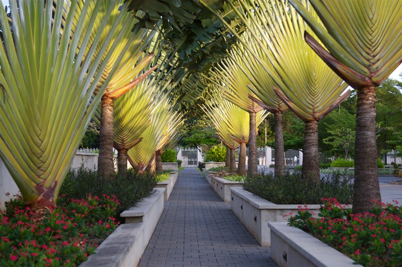 Mormon temple grounds in Ghana, Accra Mormon temple grounds in Ghana, Accra